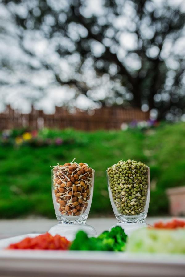 Sterling Palm Bliss - Rishikesh Hotel Luaran gambar